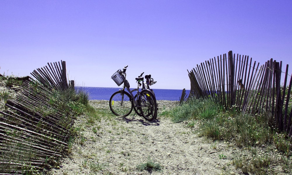 Location vélo adulte économique Coaster pour visiter l'île d'Oléron